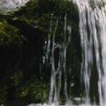 Immagine: torrente_vandeno_784_1978